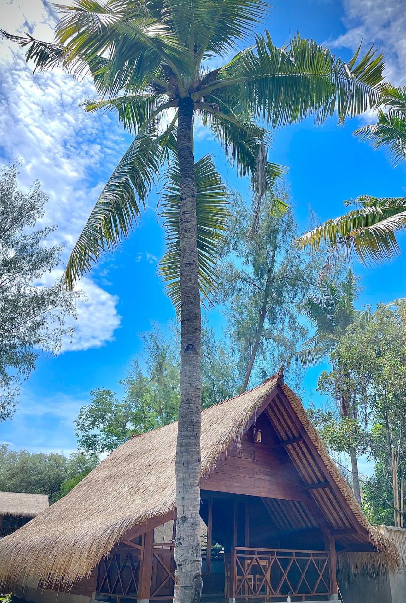 Saja Cottage, Gili Meno Extérieur photo